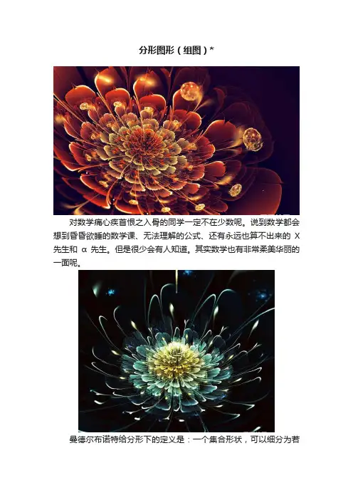 分形图形（组图）