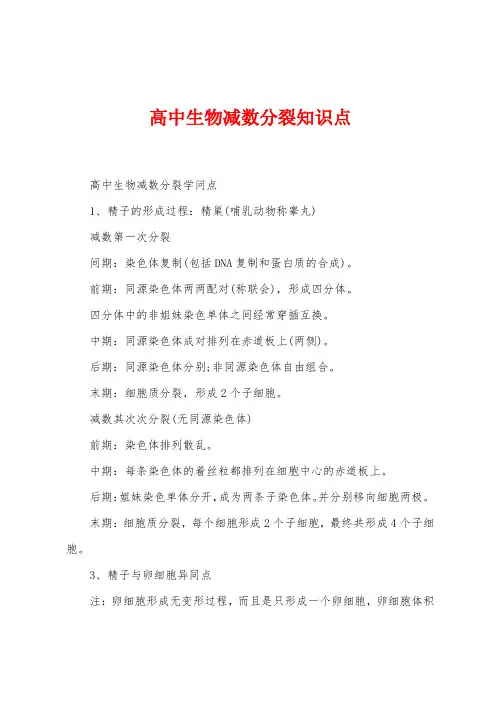 高中生物减数分裂知识点