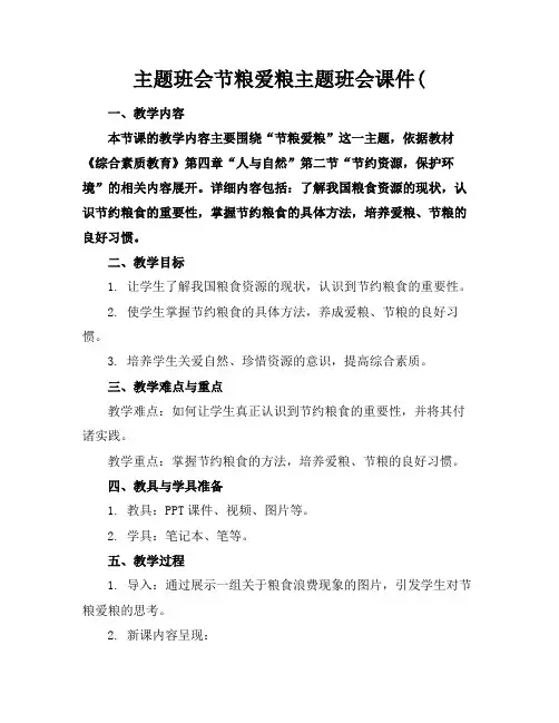 主题班会节粮爱粮主题班会课件(
