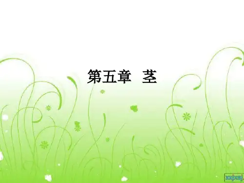植物学   第五章 茎