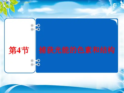 人教版 生物必修一5.4捕获光能的色素和结构(共22张 ppt)[优秀课件资料]