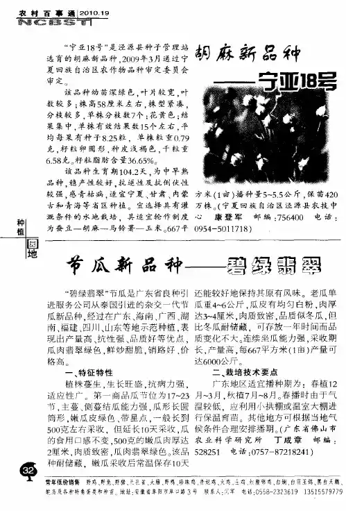 节瓜新品种——碧绿翡翠