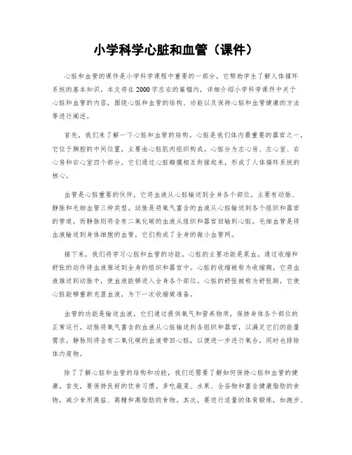 小学科学心脏和血管(课件)