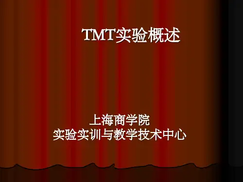 TMT-1-1概述