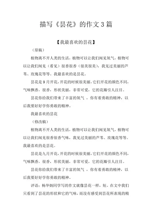 描写《昙花》的作文3篇