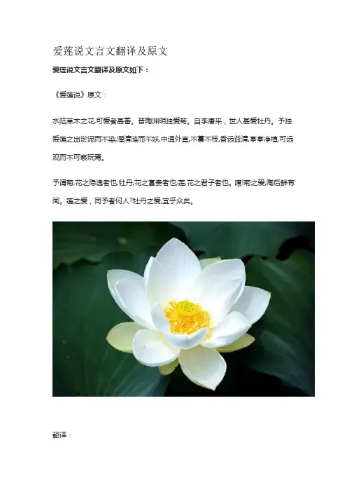爱莲说文言文翻译及原文
