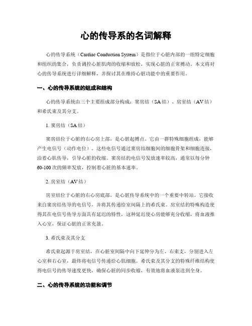 心的传导系的名词解释