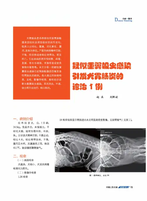疑似重翼吸虫感染引发犬胃肠炎的诊治1例