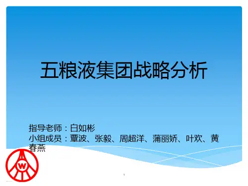 五粮液集团战略分析 PPT课件