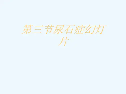 第三节尿石症幻灯片
