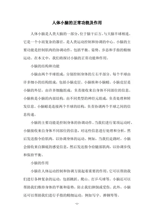 人体小脑的正常功能及作用
