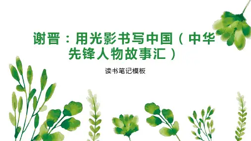 谢晋：用光影书写中国(中华先锋人物故事汇)