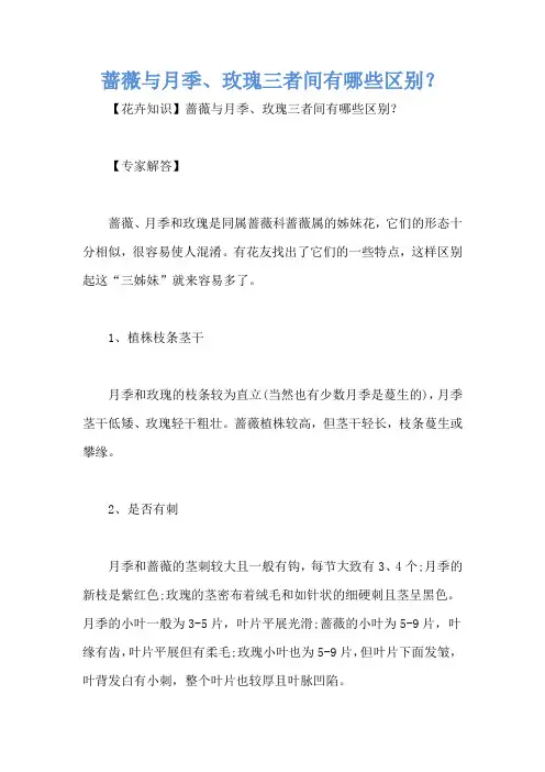 蔷薇与月季、玫瑰三者间有哪些区别？