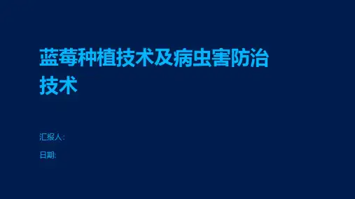 蓝莓种植技术及病虫害防治技术