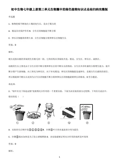 初中生物七年级上册第三单元生物圈中的绿色植物知识点总结归纳完整版