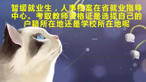 暂缓就业生 人事档案在省就业指导中心 考取教师资格证是选择自己的户籍所在地还是学校所在地呢
