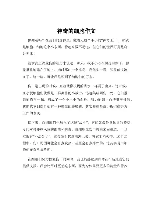神奇的细胞作文