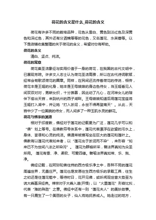 荷花的含义是什么_荷花的含义