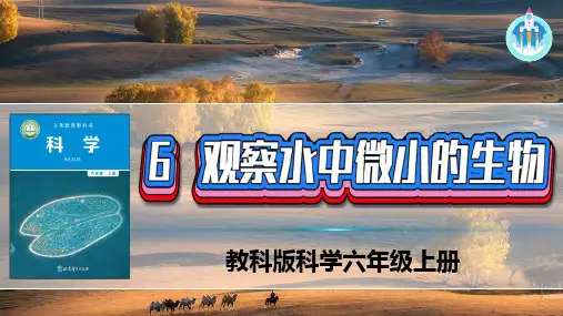 最新教科科学六年级上册1-6观察水中微小的生物PPT新版课件