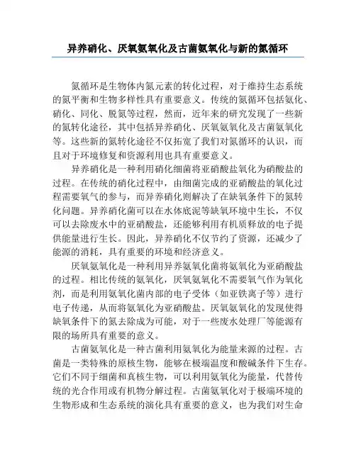 异养硝化、厌氧氨氧化及古菌氨氧化与新的氮循环