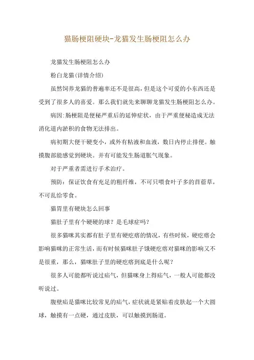 猫肠梗阻硬块-龙猫发生肠梗阻怎么办