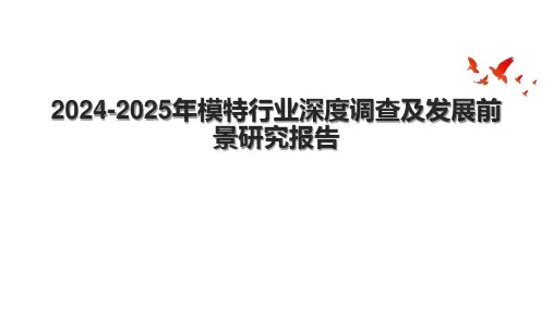 20242025年模特行业深度调查及发展前景研究报告