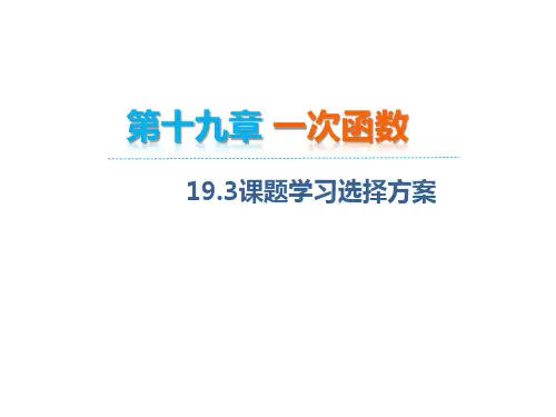 课题学习-选择方案(20张ppt)