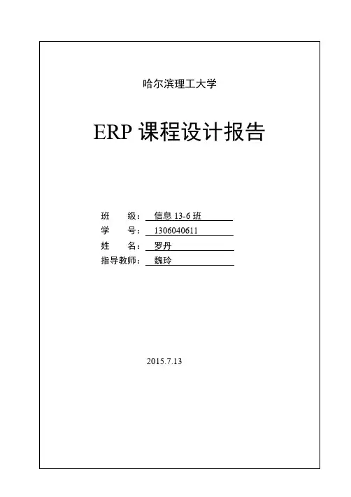 ERP课程设计报告模板