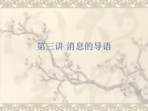 第六章_消息的导语