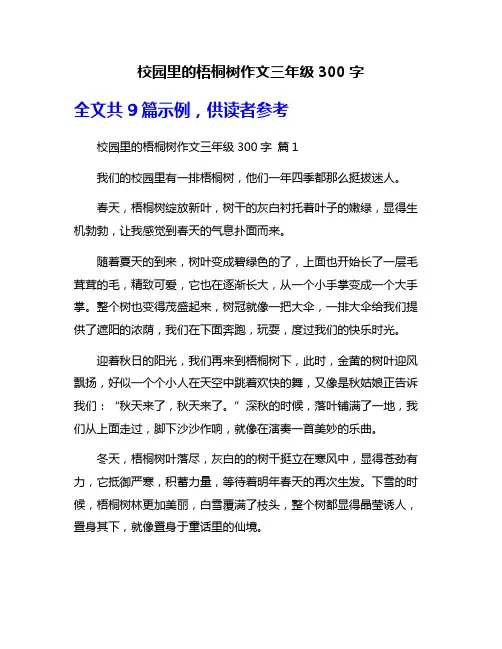 校园里的梧桐树作文三年级300字