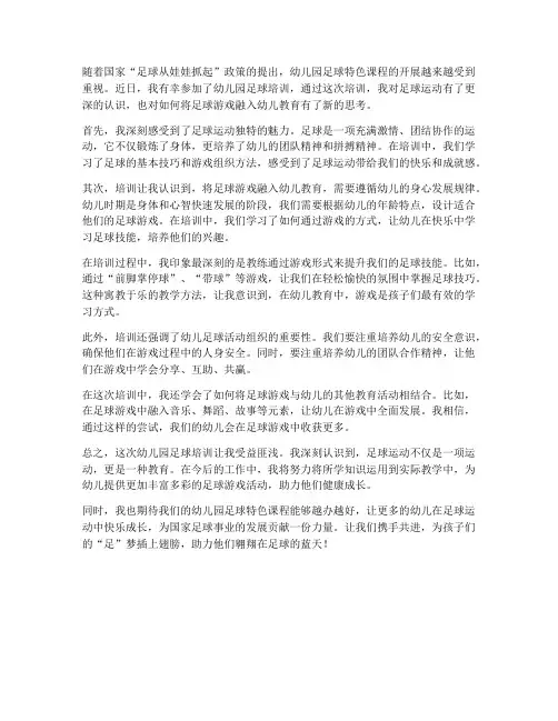 幼儿园足球培训感想