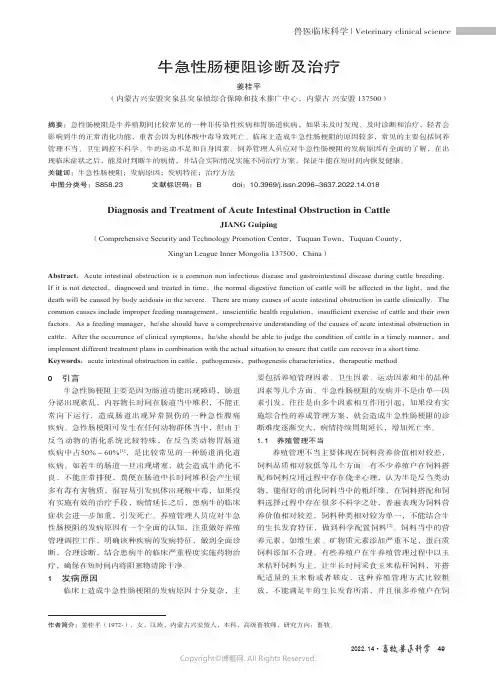 牛急性肠梗阻诊断及治疗