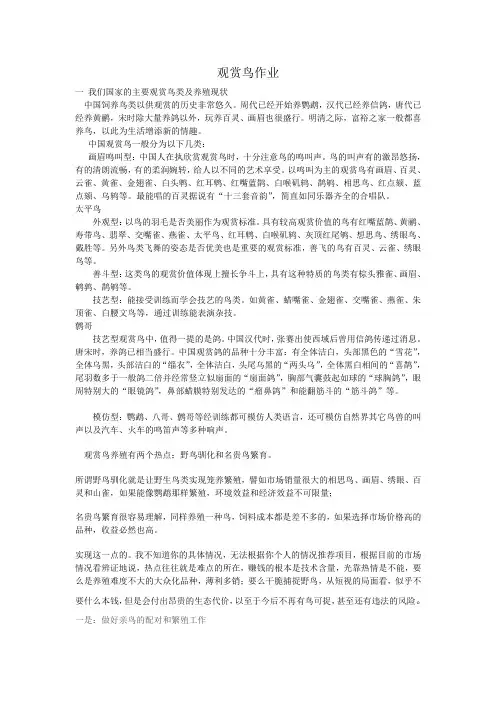 观赏鸟作业