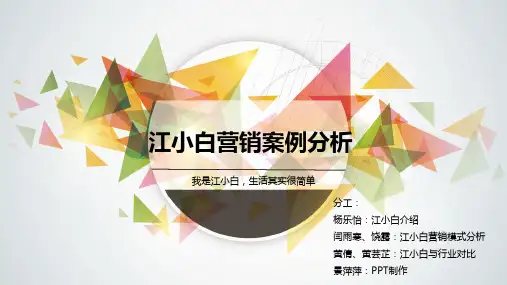 江小白营销案例分析PPT课件