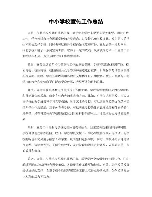中小学校宣传工作总结