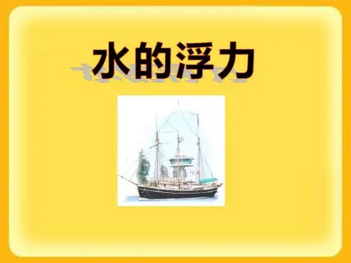 《水的浮力》PPT课件
