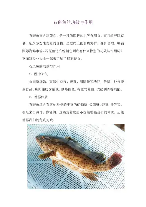 石斑鱼的功效与作用