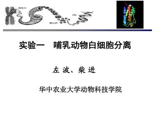 不同畜禽血样采集哺乳动物白细胞分离重点