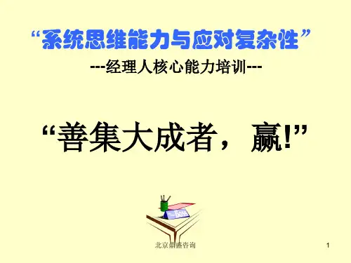 系统思维及应对复杂性的能力PPT课件