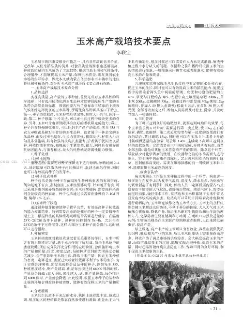 玉米高产栽培技术要点