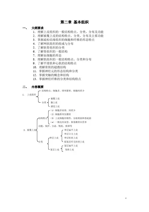第二章基本组织--人体结构学