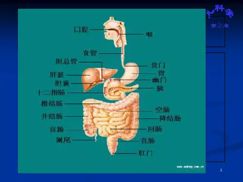 儿科学第八讲消化系统PPT课件