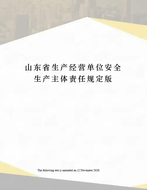 山东省生产经营单位安全生产主体责任规定版