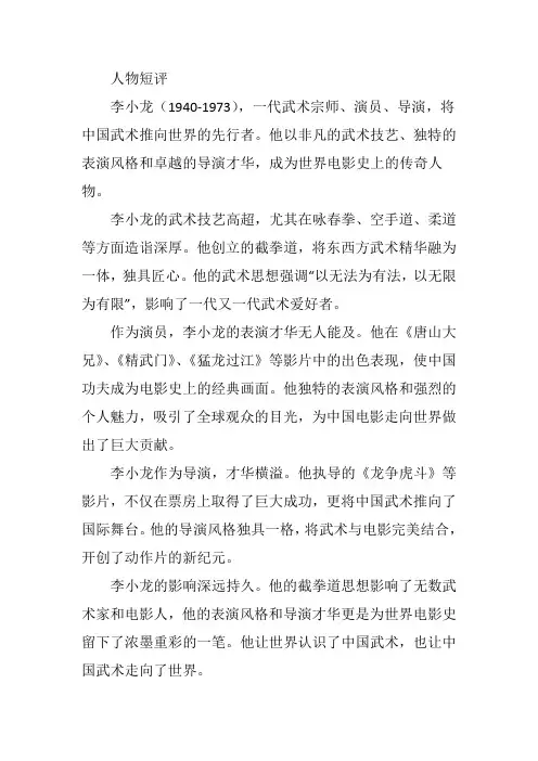 人物短评几百字