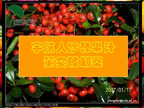 宇航人V9沙棘汁策划案