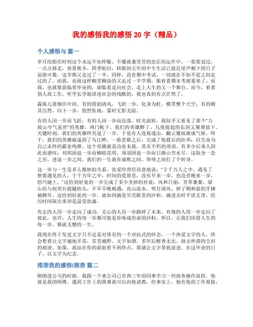 我的感悟我的感悟20字(精品)