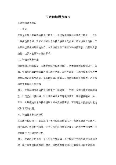 玉米种植调查报告
