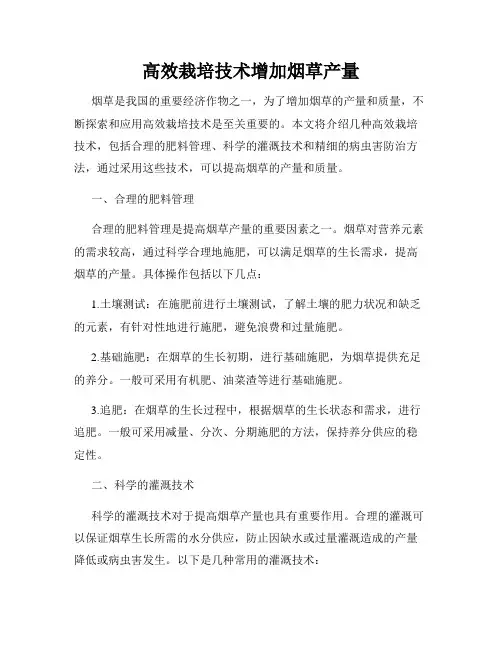 高效栽培技术增加烟草产量