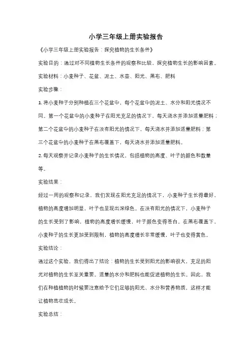 小学三年级上册实验报告