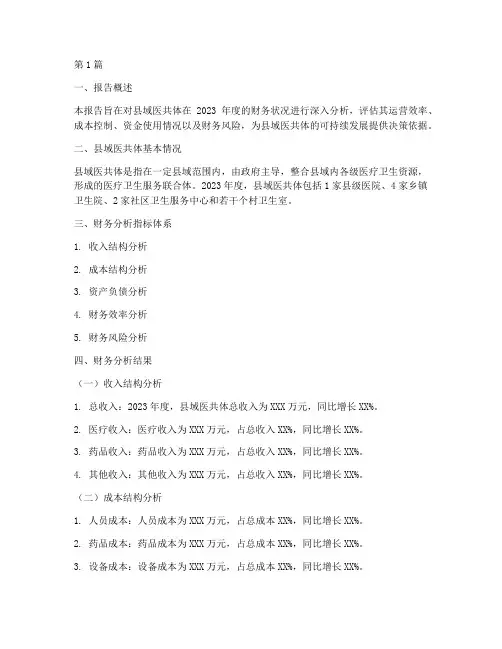 县域医共体财务分析报告(3篇)